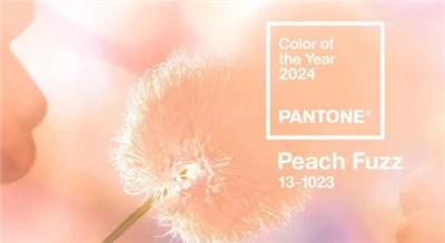 PANTONE 2024 Representative Colour PANTONE 13-1023 Peach Fuzz Announced!